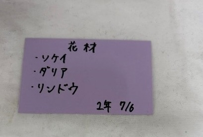 花材 - コピー
